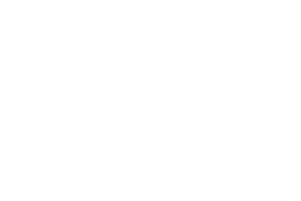 Next Fashion logo
